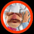 Link to The Swedish Chef's Virtual Kitchen